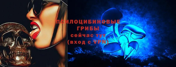 ПСИЛОЦИБИНОВЫЕ ГРИБЫ Мегион
