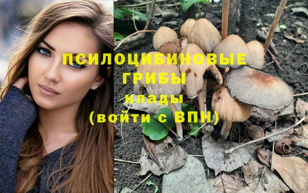 эйфоретик Медвежьегорск