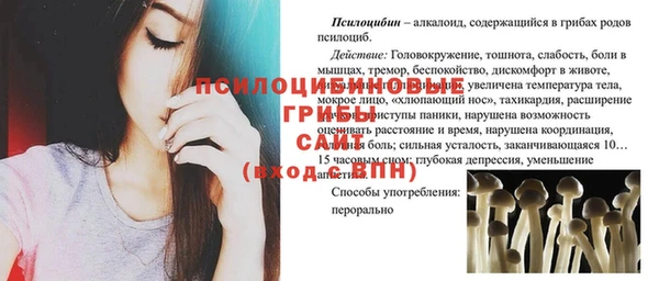 спайс Медногорск