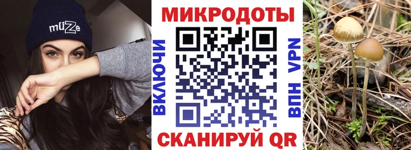 Псилоцибиновые грибы мухоморы  цены наркотик  MEGA ТОР  Спасск 