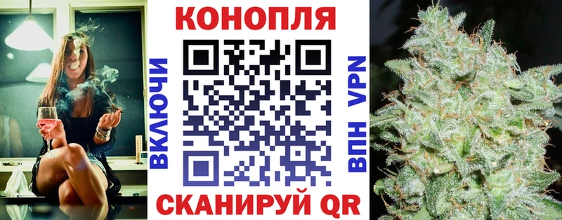 Бошки Шишки план Спасск